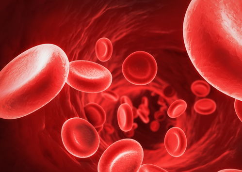 輸液時輸進去的液體都去了哪兒了？